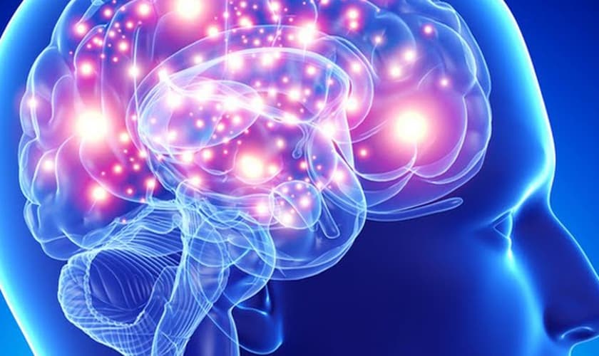 Como seu cérebro se conecta a Deus - Parte 1