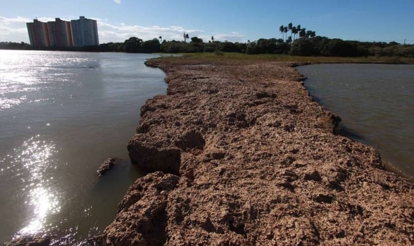 Rio Paraíba do sul seco