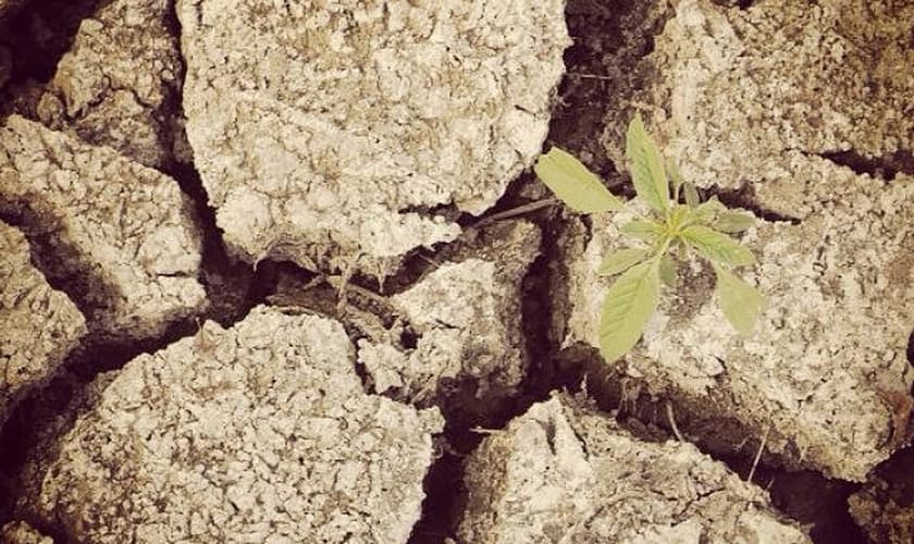 Socorro Deus! Precisamos de chuvas!