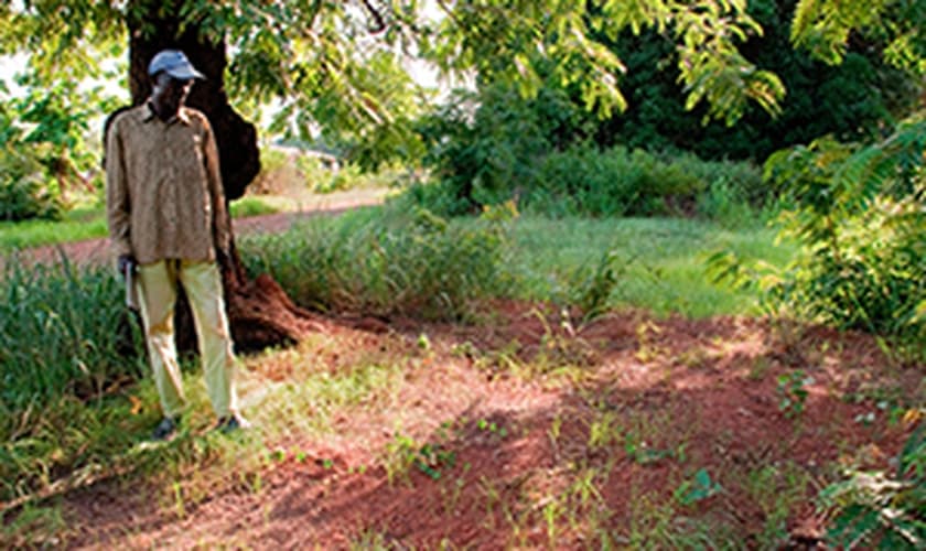 Imagem da República Centro-Africana