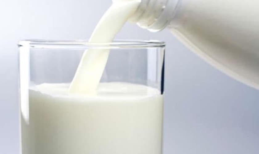 Tipos de leite