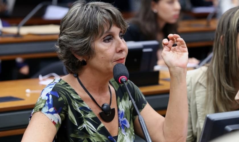 A deputada Èrica Kokay foi responsável por duas das quatro ressalvas que mantém o Estatuto na Câmara e afirmou que está disposta a fazer o possível para atrasar esta votação.