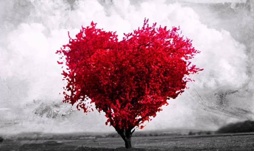 Árvore em formato de coração. (Foto: Facebook)
