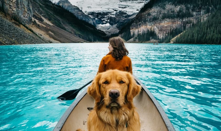 Viajar com seu animal de estimação exige planejamento, mas torna a viagem melhor. (Foto: Hunter Lawrence)