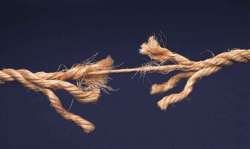 (Foto: Reprodução)