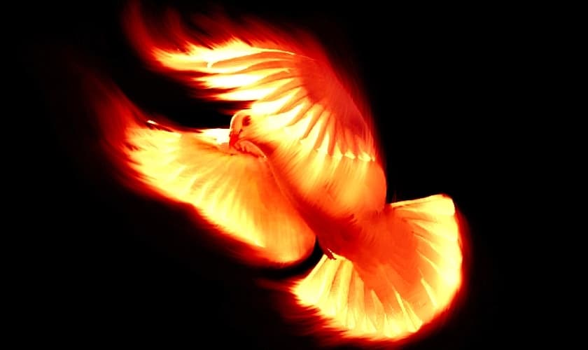 (Foto: Reprodução/Internet)