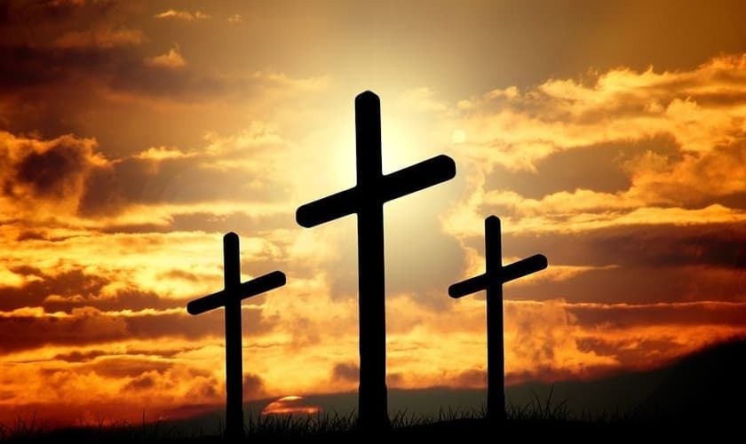 (Foto: Scriptural Seeds)