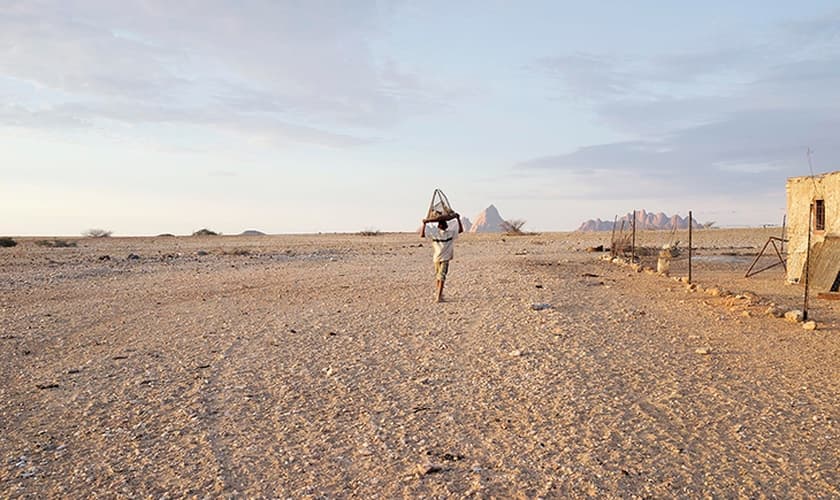 (Foto: Margaret Courtney-Clarke)