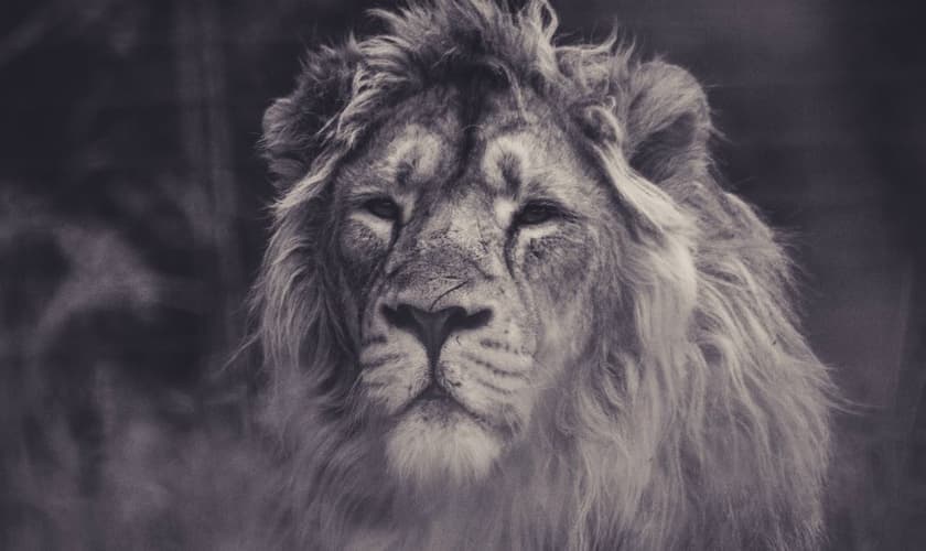 (Foto: Frida Bredesen/Unsplash)