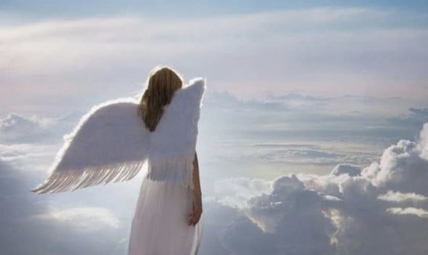 (Foto: Reprodução/Fortalecendo a Família)