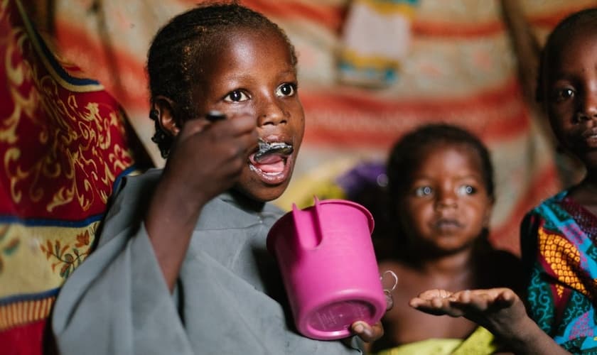 Mais de 9.000 famílias da Nigéria não sabem o que irão comer e de onde virá o alimento. (Foto: ACF Nigeria)
