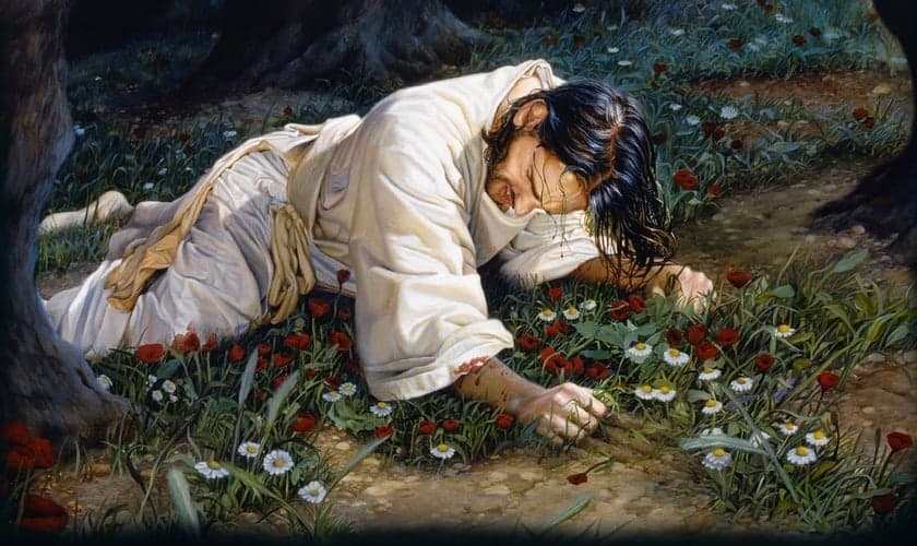 Cristo no Getsêmani. (Foto: Jim Grieme)