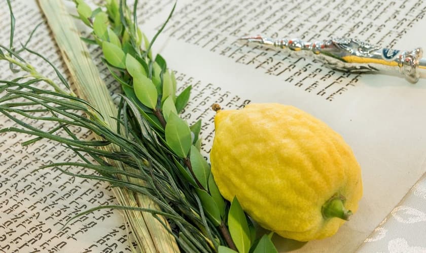 (Foto: Beth Shalom NB)