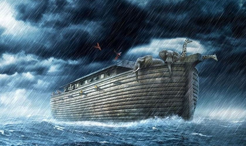 (Foto: Revealedinus)