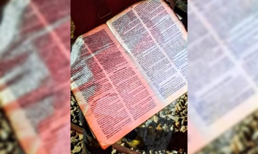 A Bíblia ficou praticamente intacta após o incêndio em Jaguará do Sul (SC). (Foto: Arquivo pessoal).