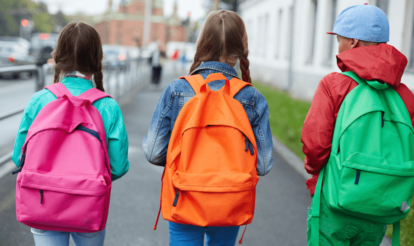 Outras duas matérias com a mesma proposta de proibição da linguagem neutra tramitam na casa. (Foto: Reprodução / Canva)