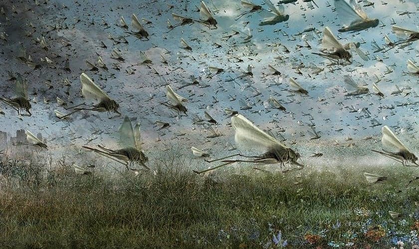 Pastor explica o significado dos gafanhotos do livro de Joel. (Foto: Pixabay/AndreyС)