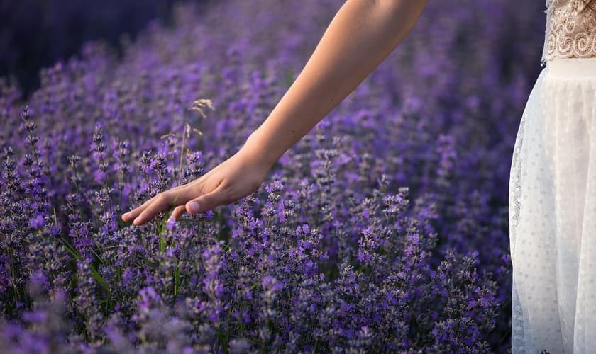 (Foto: MireXa/Pixabay)