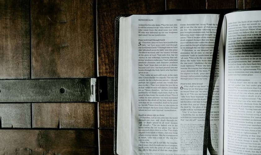 (Foto: Unsplash/Daniel Day Media)