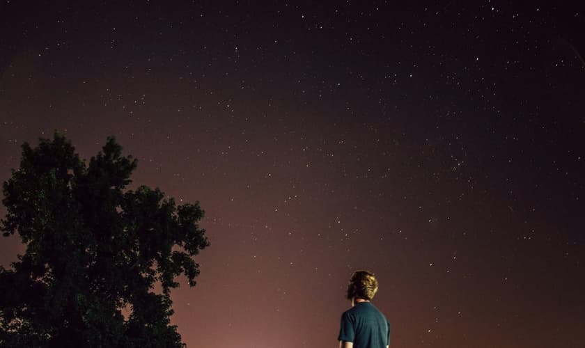 (Foto: Unsplash/Cody Board)