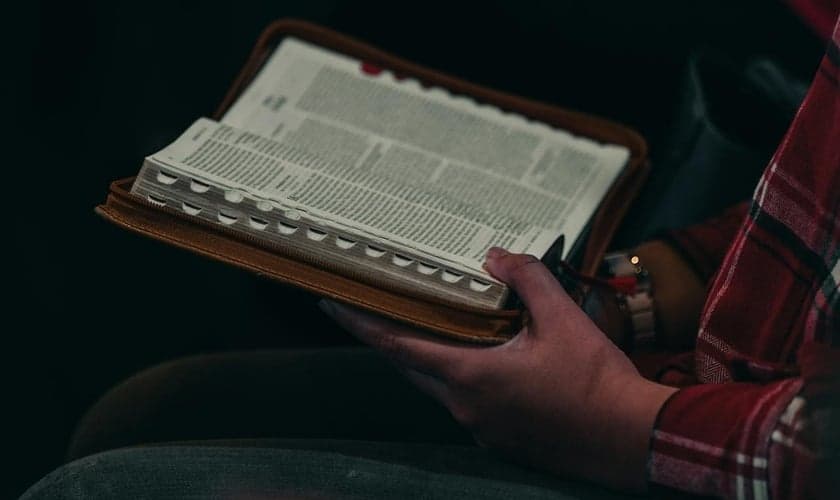 (Foto: Pexels/el jusuf)