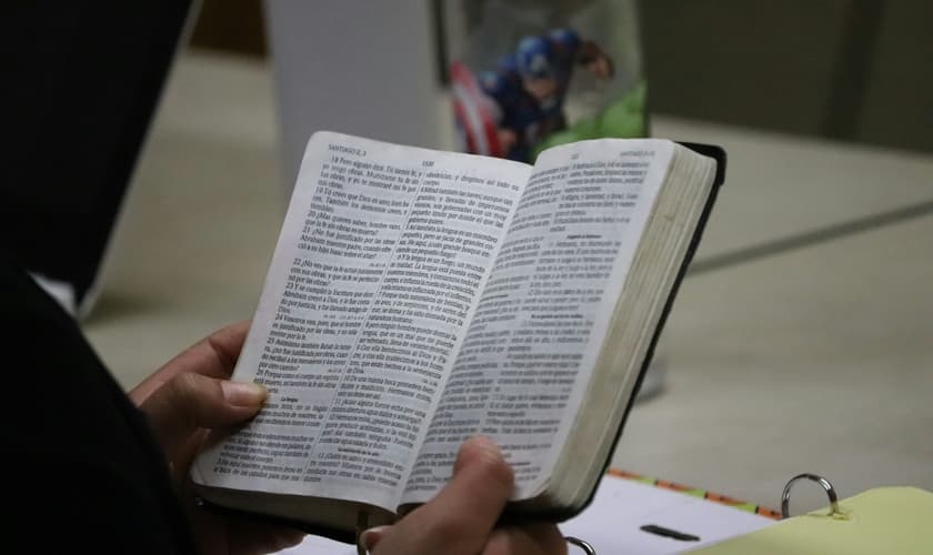 Imagem ilustrativa. (Foto: Unsplash/Abimael Ahumada).