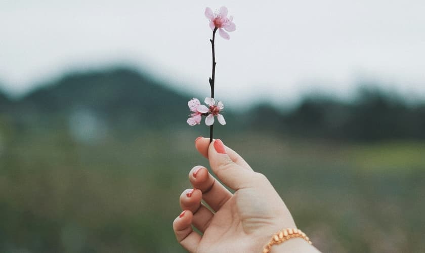 (Foto: Thirteen .J / Unsplash)